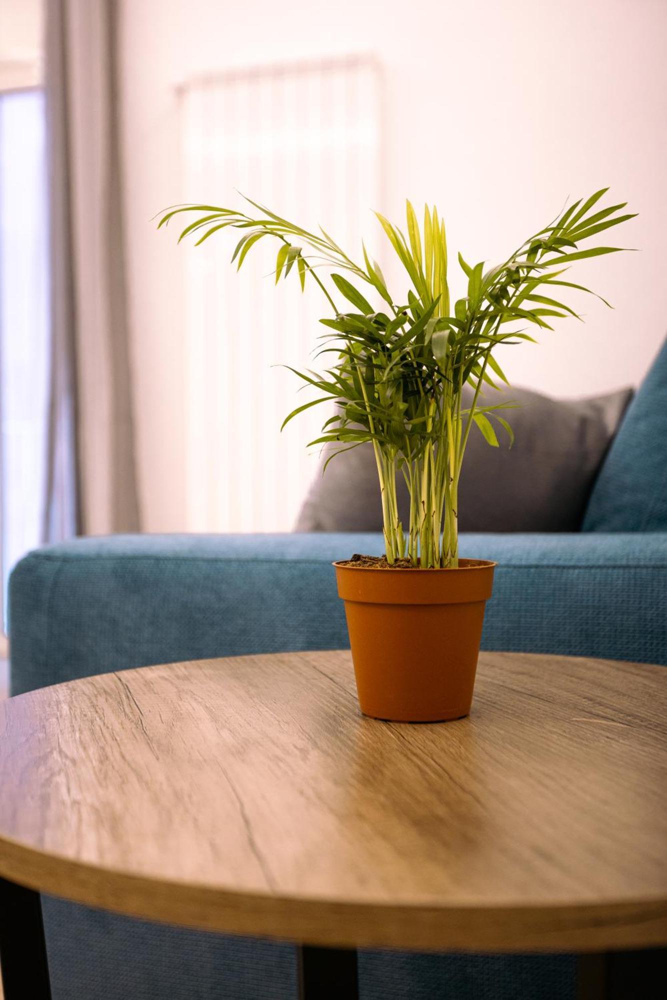 Song House Apartment Centro Storico 7 Pax Napoli Eksteriør billede
